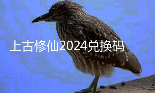 码大码最总上古上古兑换兑换利汇全 修仙修仙新24福