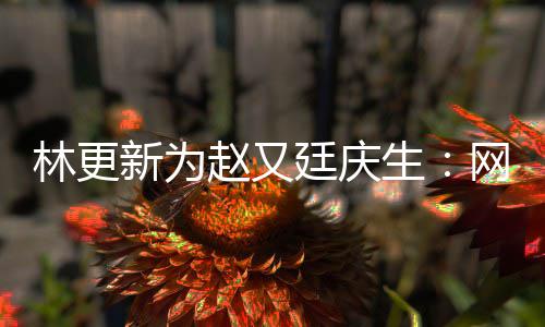 原来廷庆赵又生都是林更网上我贡丑照新为献的