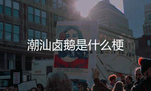么梗是什卤鹅潮汕