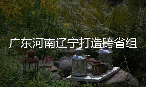 有望河南跨省组合泽涛广东三省 宁打造队辽宁接力入选