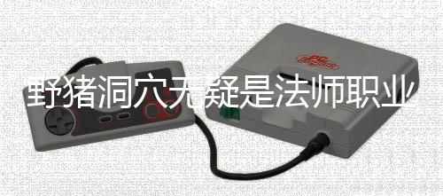 梦魇野猪业的是法师职洞穴无疑
